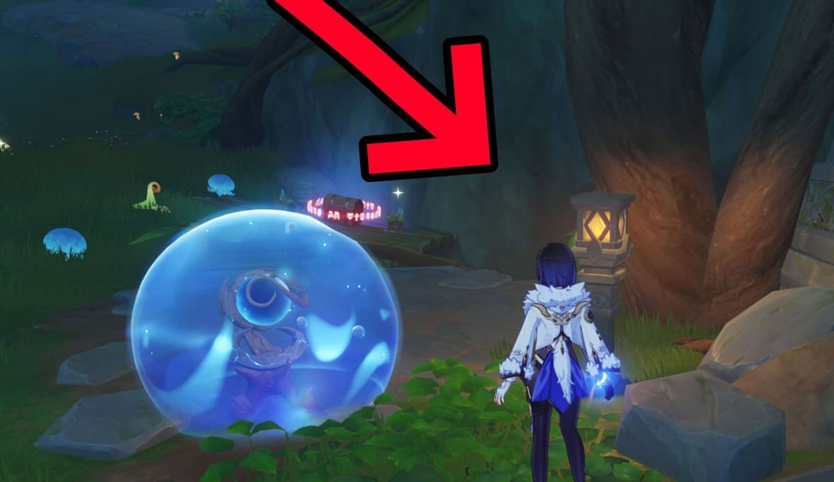 Capturing Light and Shadow Genshin Impact puzzles and World quest guide