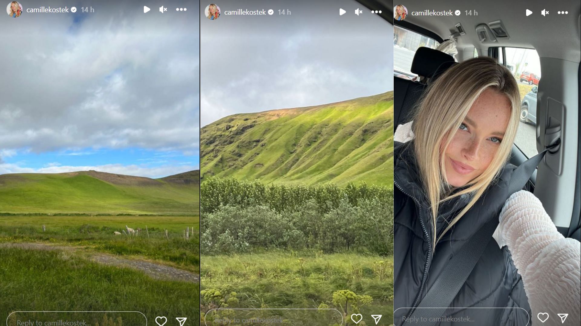 Camille shows breathtaking views of Iceland's flora and fauna (Image Credit: Camille's Instagram Story).