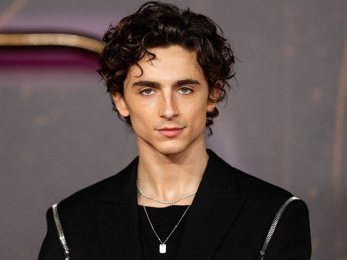 &quot;I had a delusional dream...&quot;: Timoth&egrave;e Chalamet reflects on his acting career (Image via IMDb)