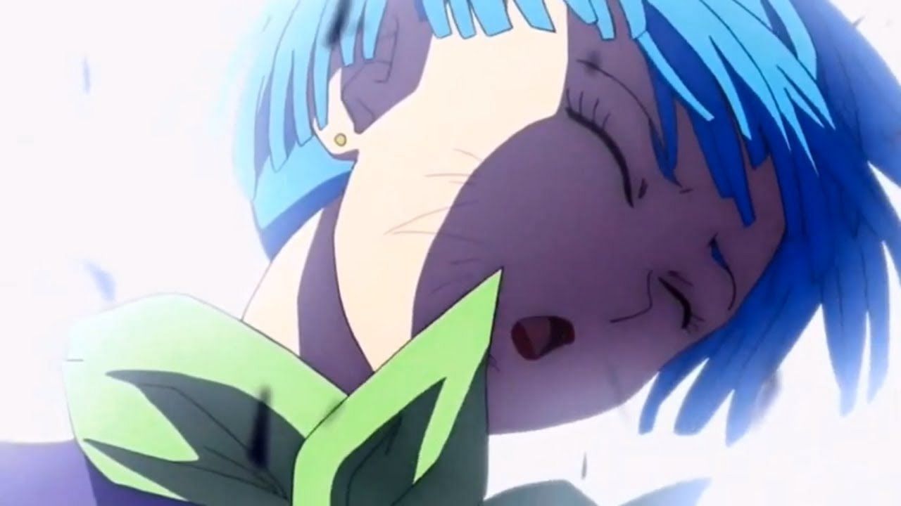 Berus slapped Bulma (Image via Toei Animation)