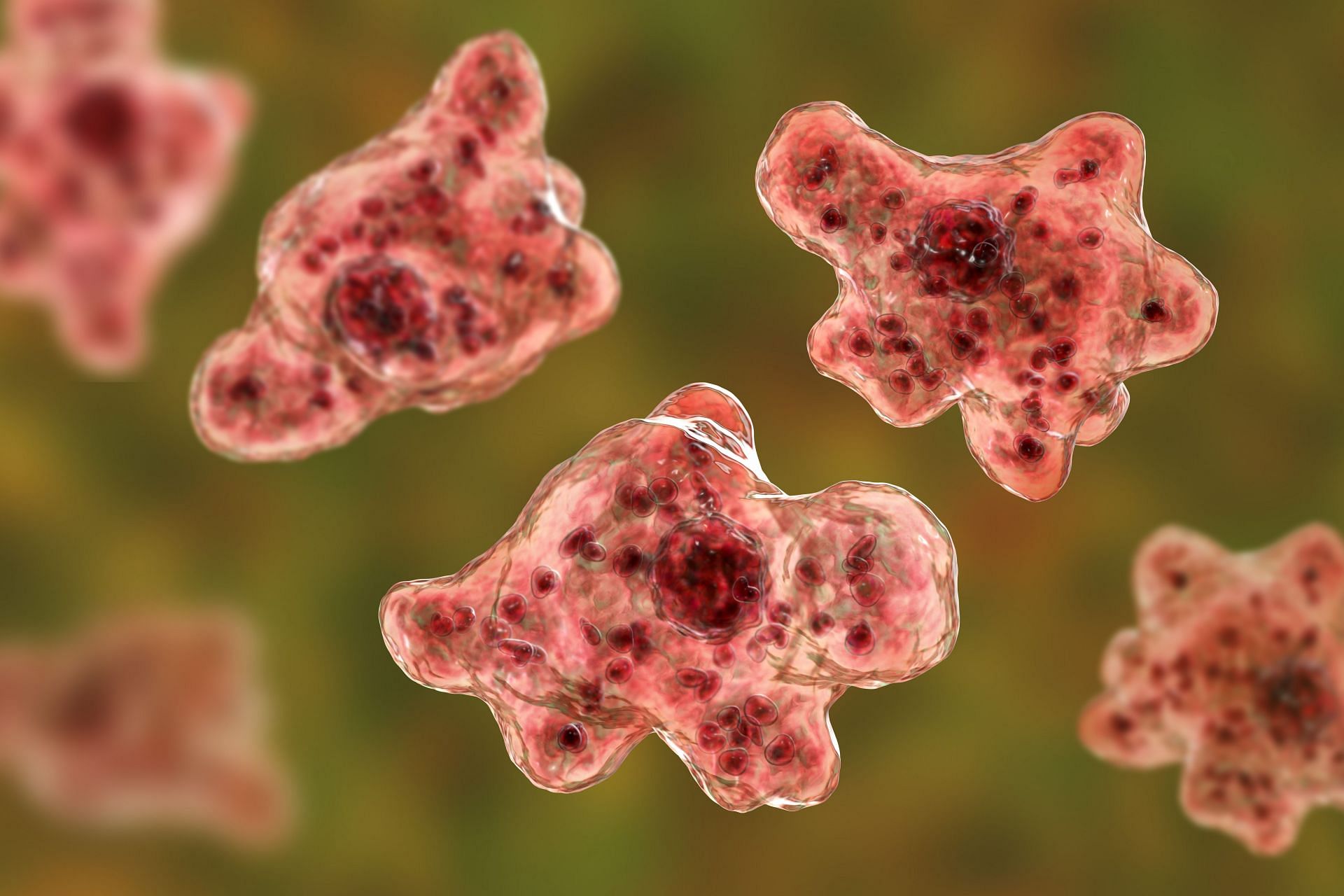 A devastating occurrence in Lincoln County, Nevada, has brought to light the consequences of a rare brain illness caused by the brain-eating amoeba (Getty Images)