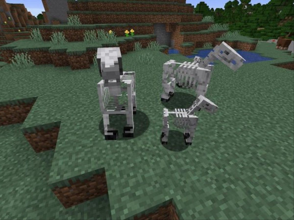 pets: How to heal pets in Minecraft