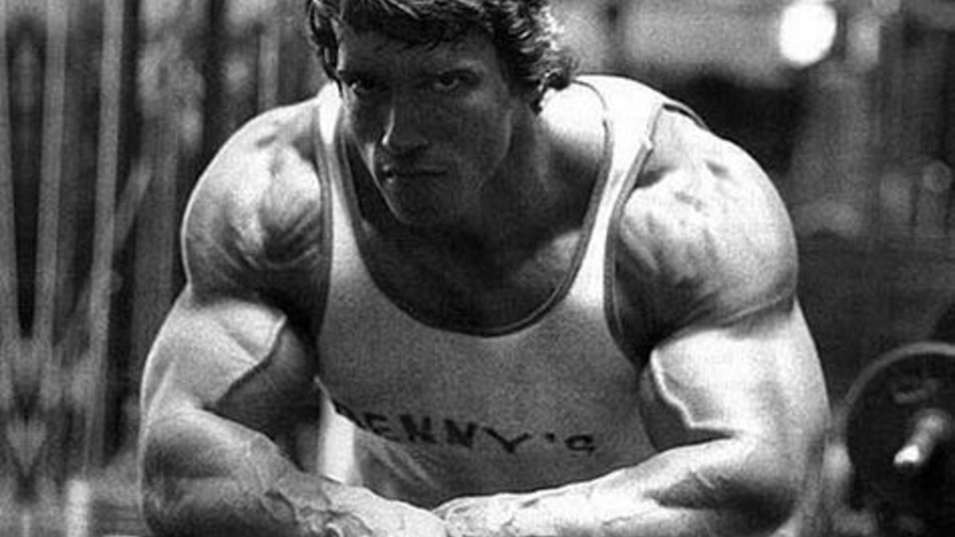 Legendary bodybuilder Arnold Schwarzenegger&#039;s arm workout. (Image via Pinterest)