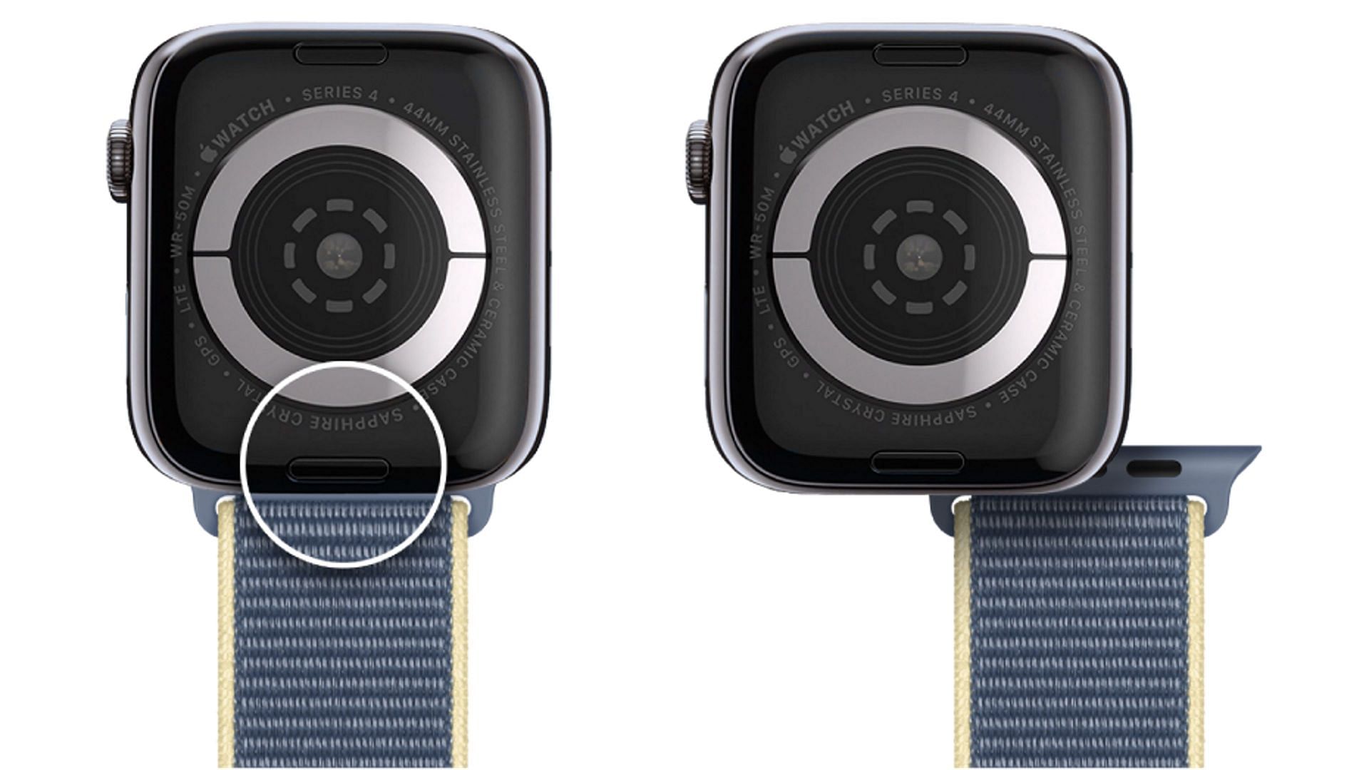 Remove the watch by pressing the Band Release button on the back (Image via Apple)