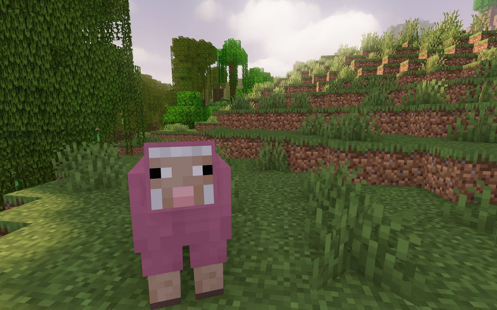 The Pink Sheep (Image via Mojang)