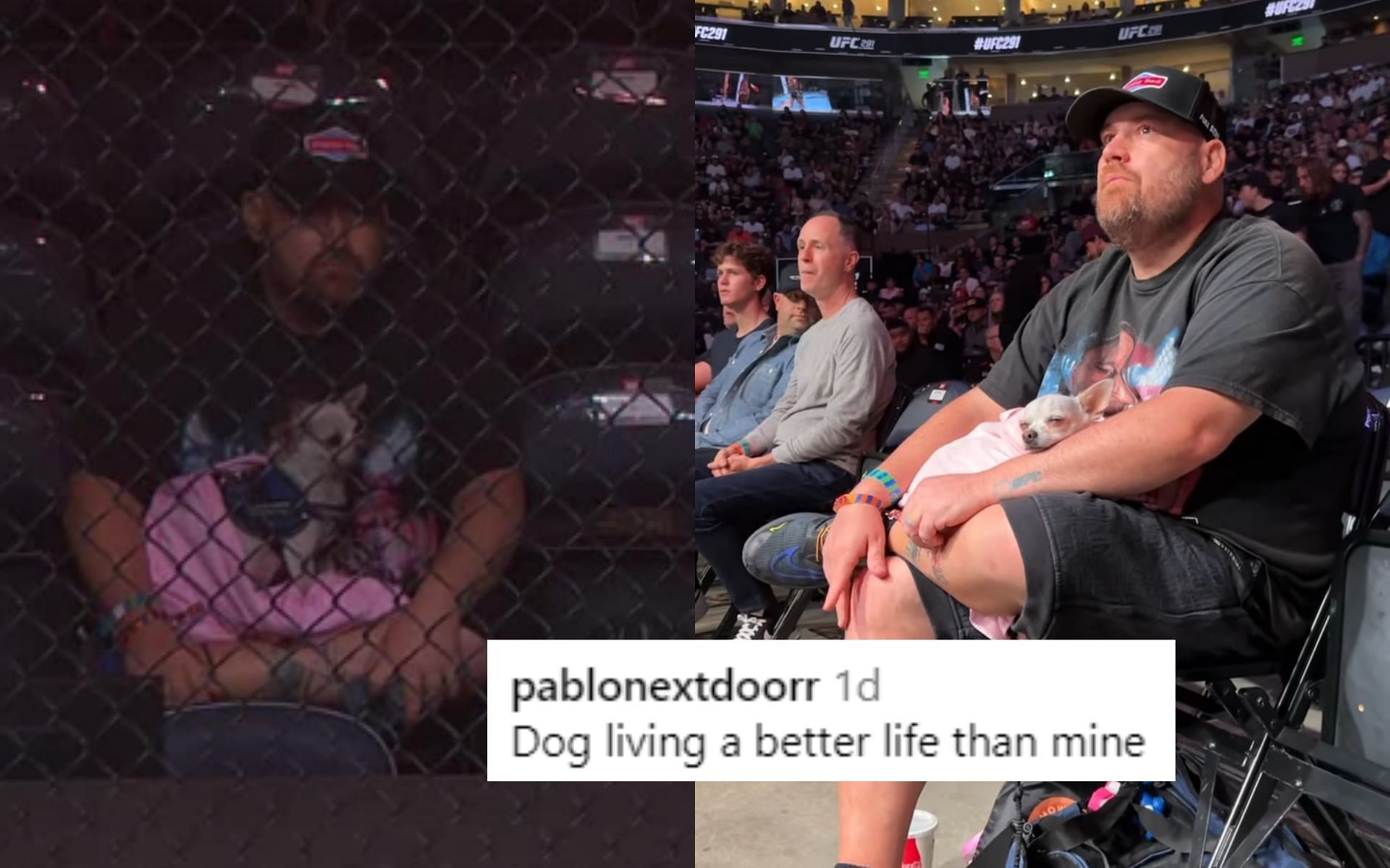 UFC 291: Dog spotted cageside [Images via: @espnmma on Instagram]