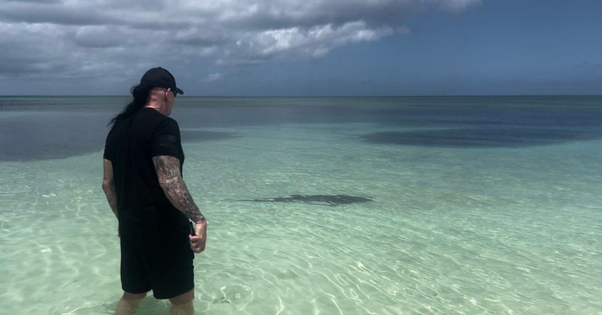 The Undertaker vs a shark at a beach
