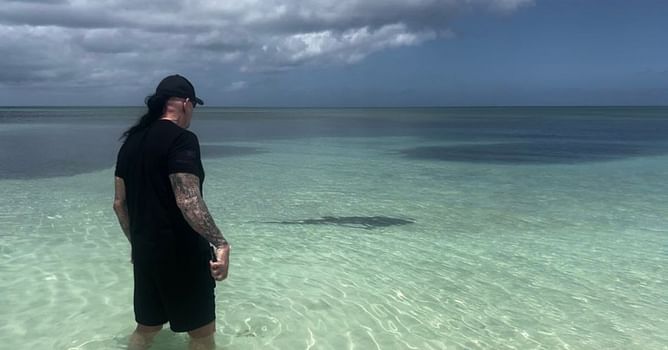 [WATCH] The Undertaker steps up to scare a shark away to save Michelle McCool