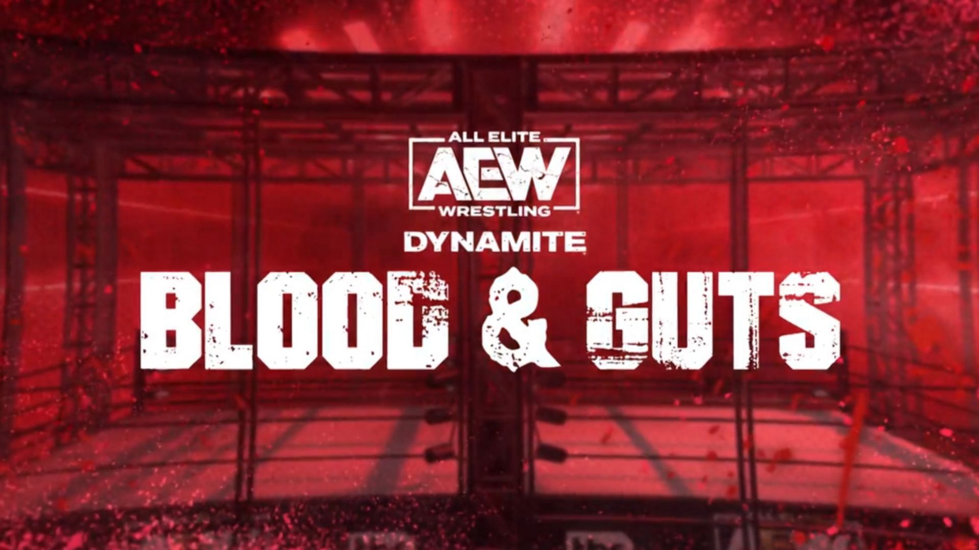 AEW star's 357-day undefeated streak comes to an end on Blood & Guts