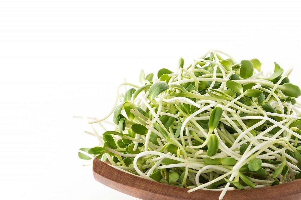 health benefits of sprouts (image via freepik/topntp26)