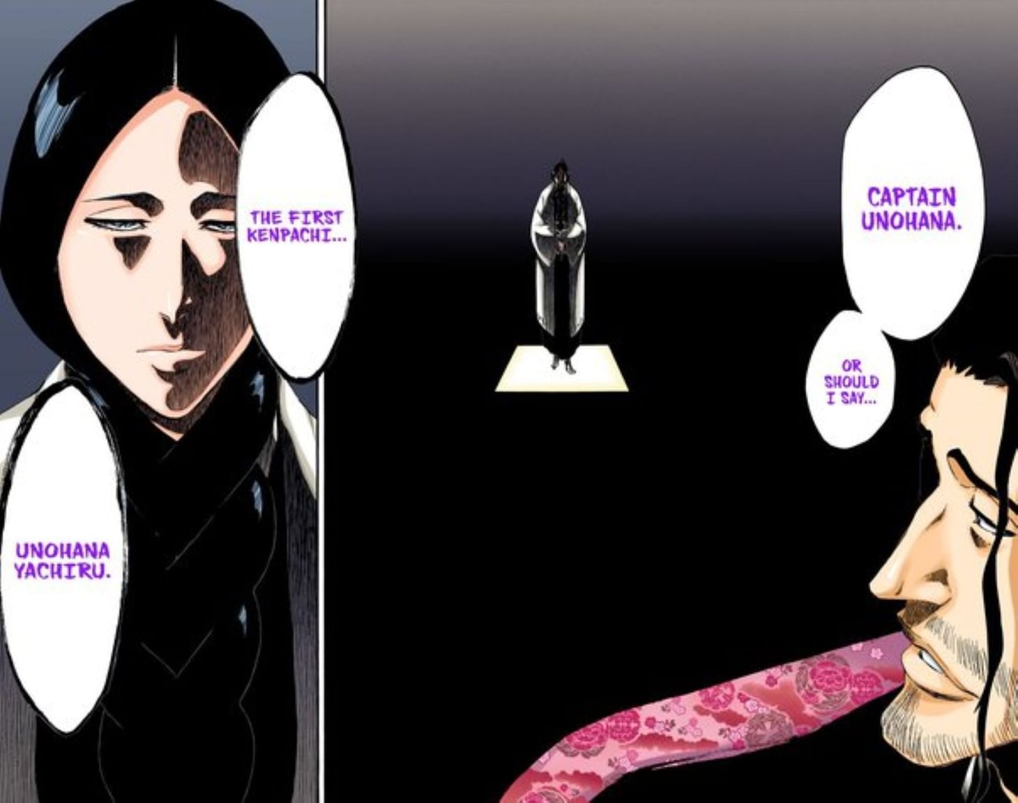 Bleach Why does Shunsui Captain Commander of the Gotei 13