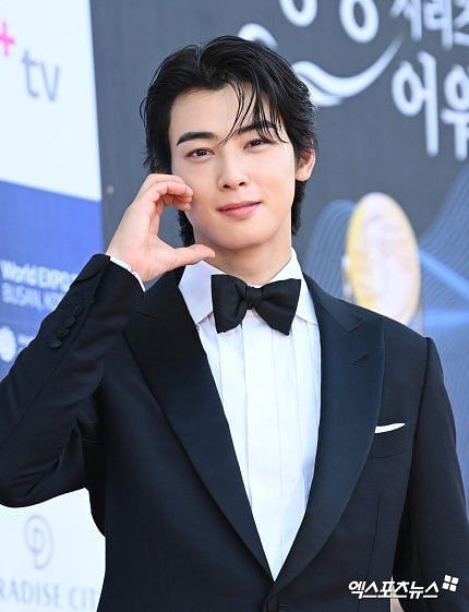 Incomparable Elegance”: Fans go wild as ASTRO's Cha Eunwoo looks dapper at  the 2nd Blue Dragon Series Awards' red carpet