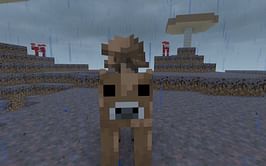 Top 10 rarest mobs in Minecraft 1.20