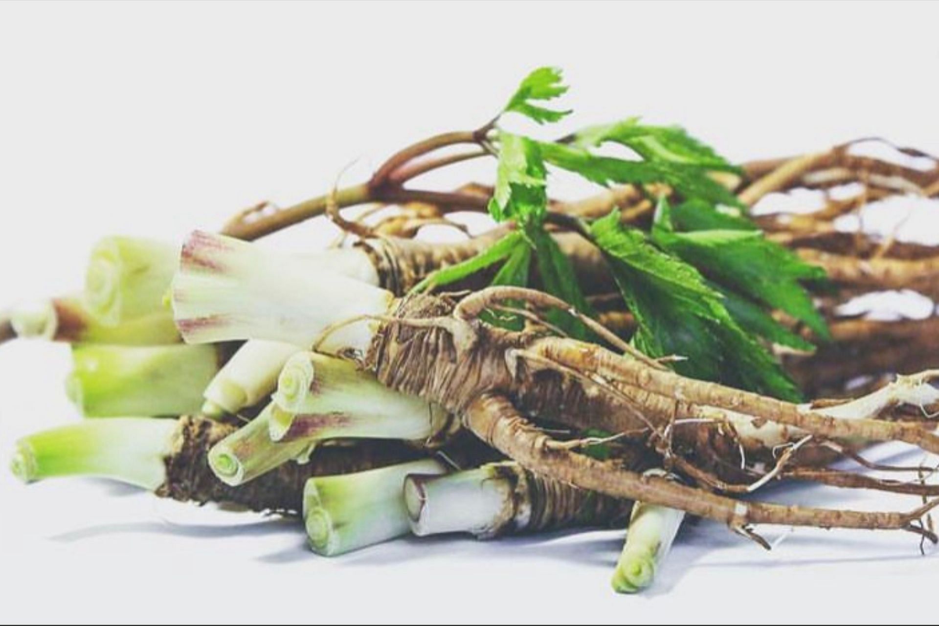 The herb offers several benefits. (Photo via Instagram/katiebarronnaturopath)