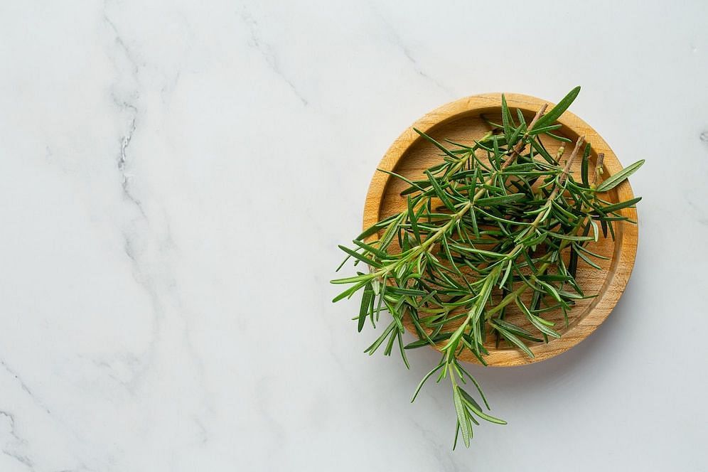 Rosemary herb (Image via Freepik/Jcomp)