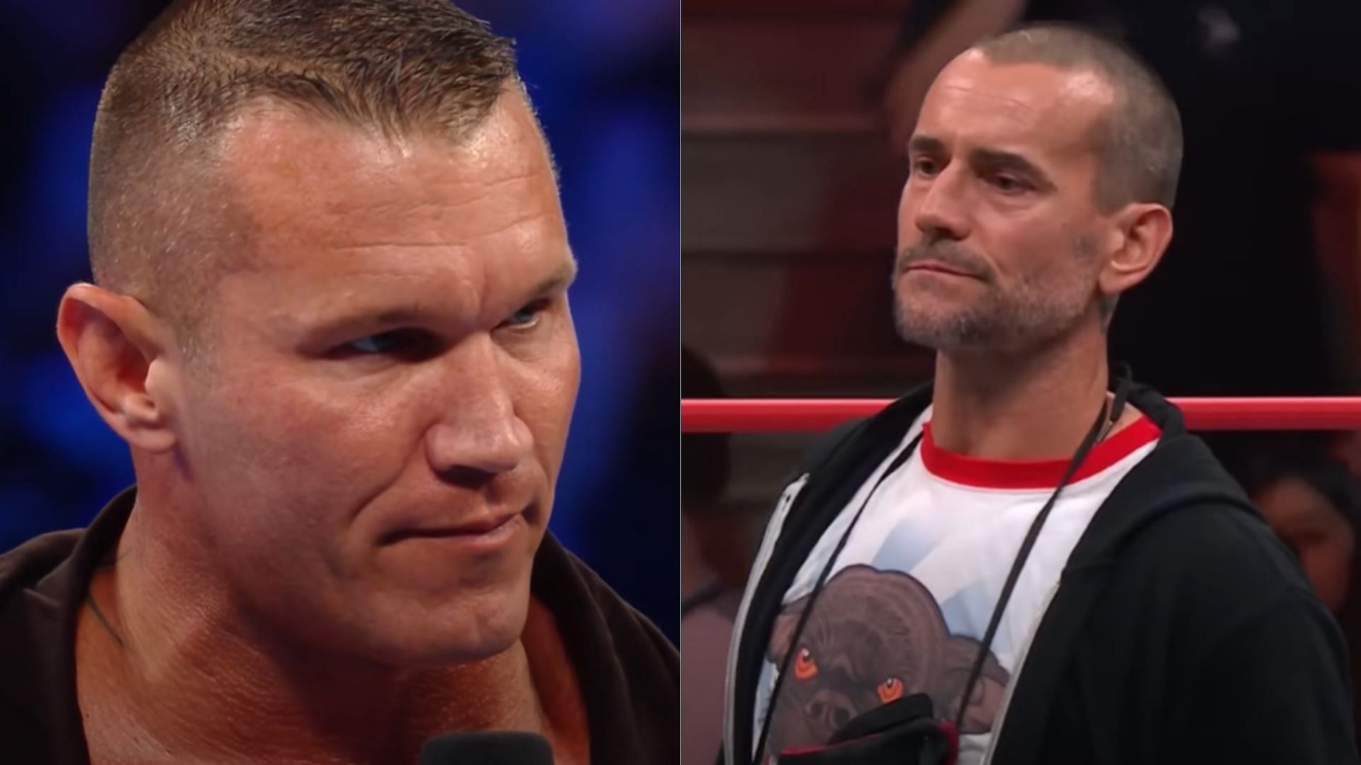 Randy Orton (left); CM Punk (right)