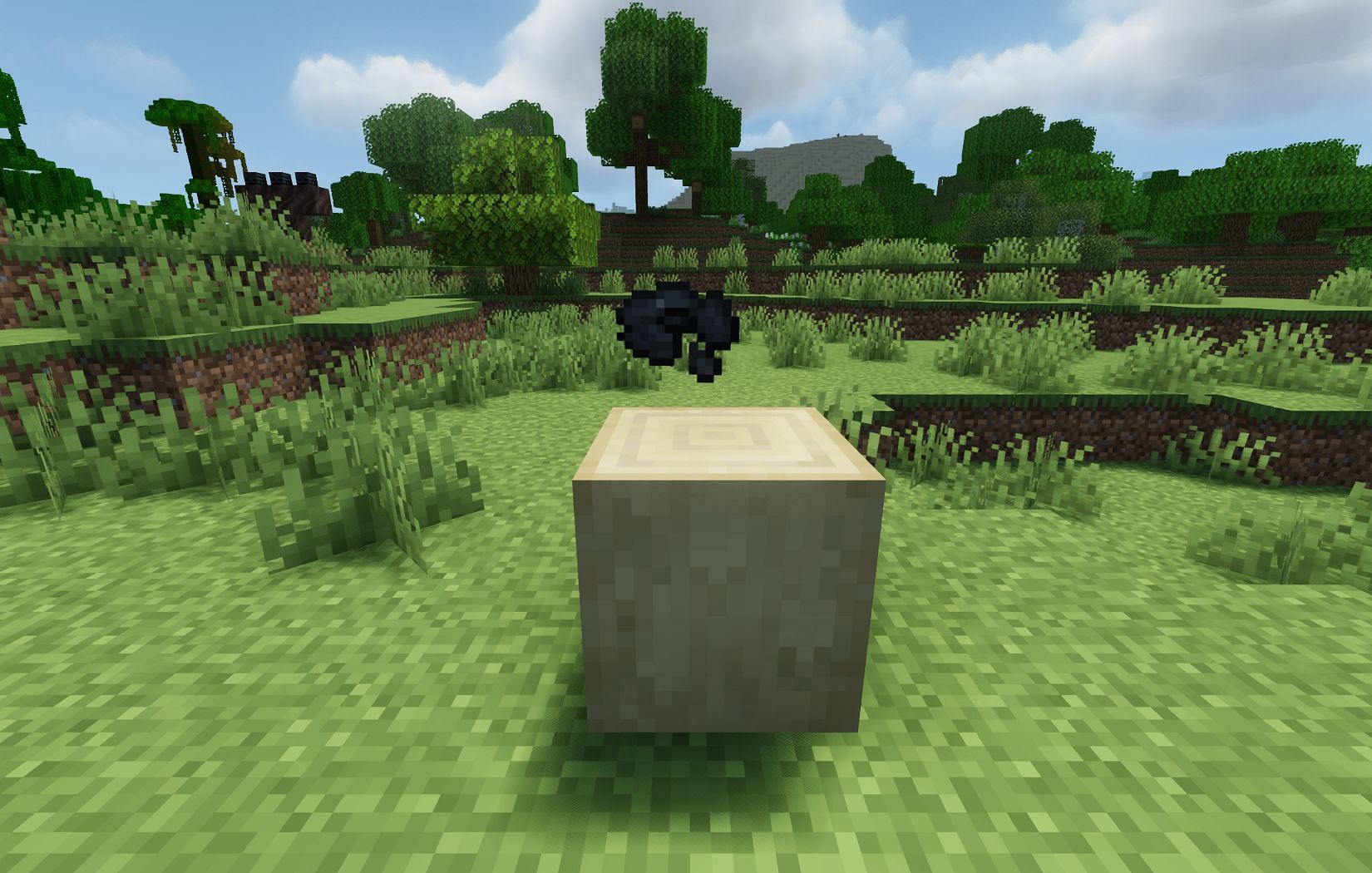 The famous disc 11 of Minecraft (Image via Mojang)