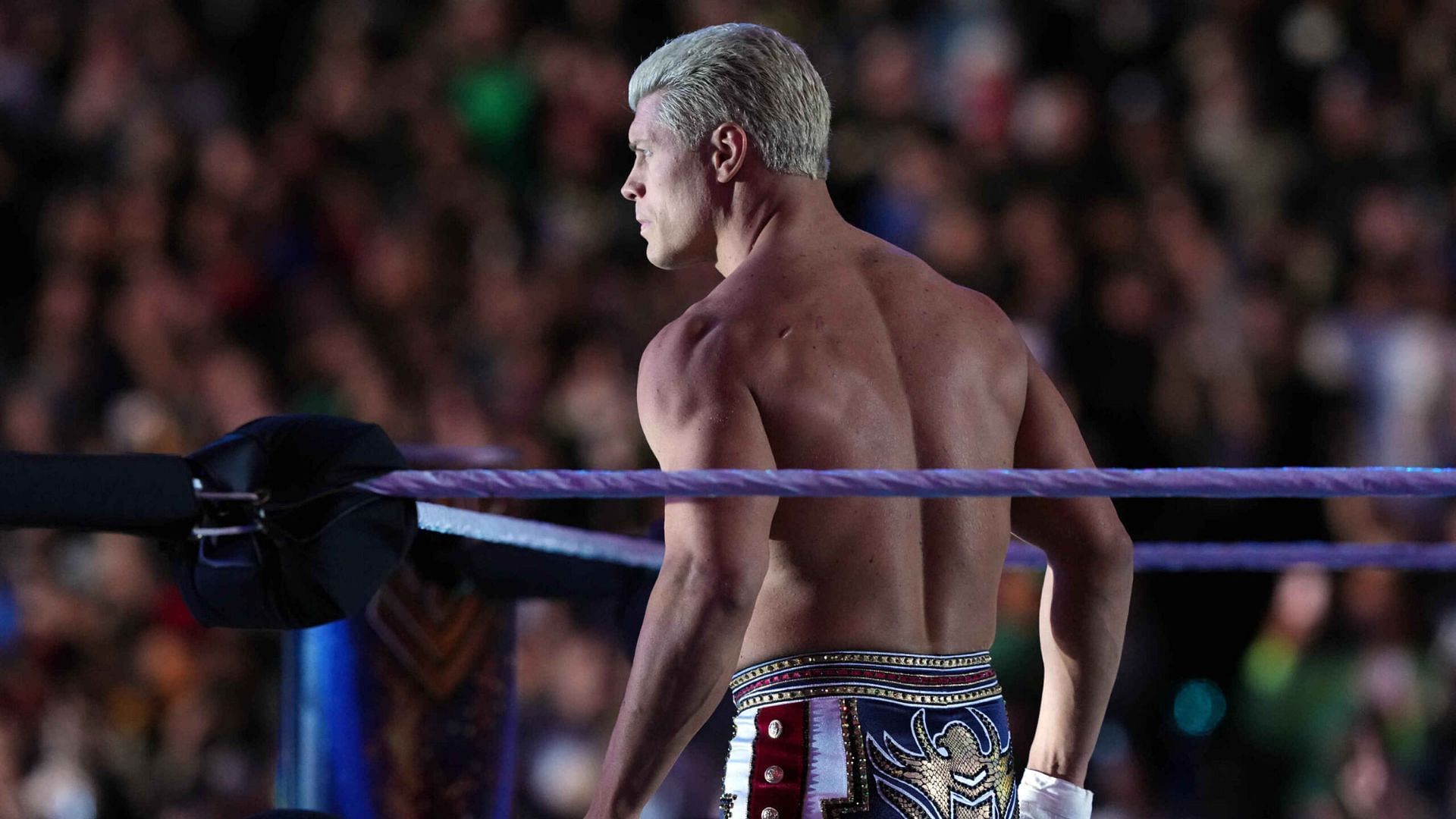 Cody Rhodes is currently a WWE superstar