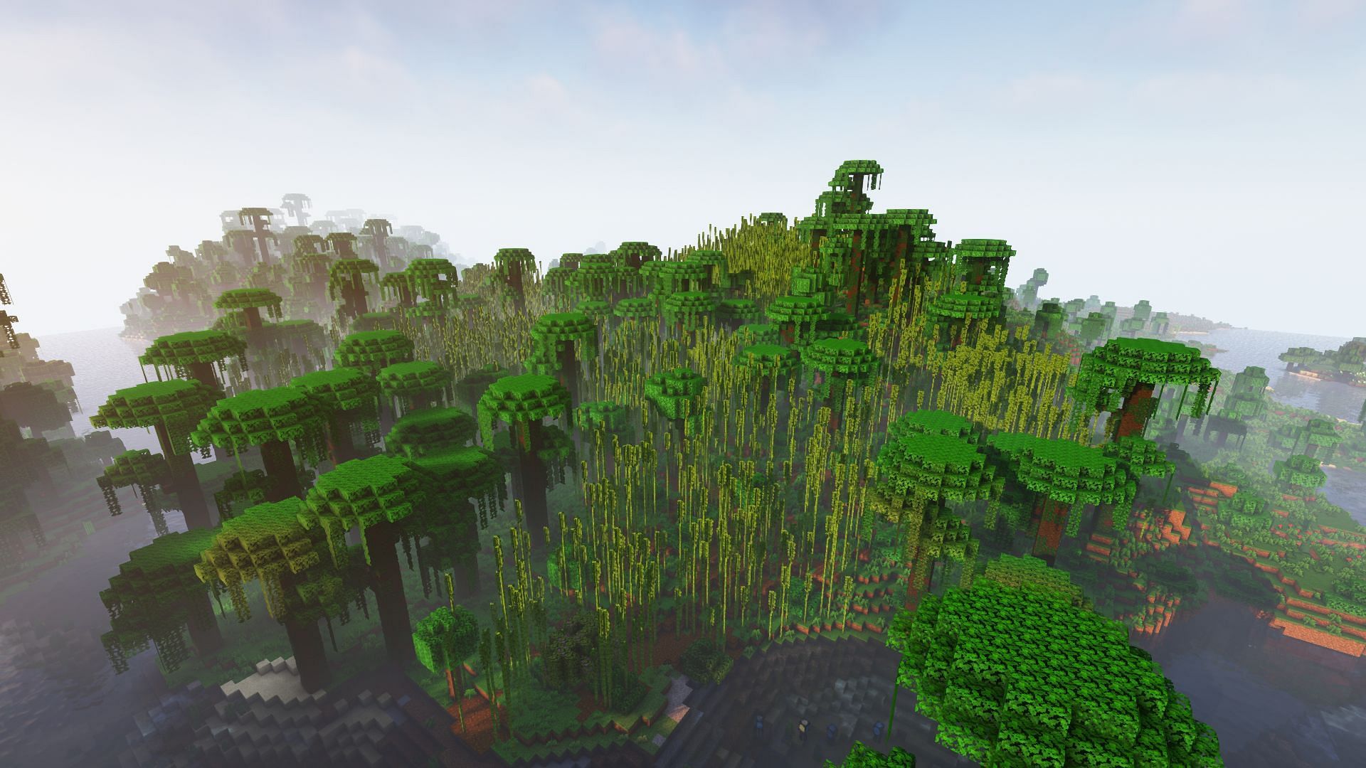A bamboo jungle biome (Image via Mojang)