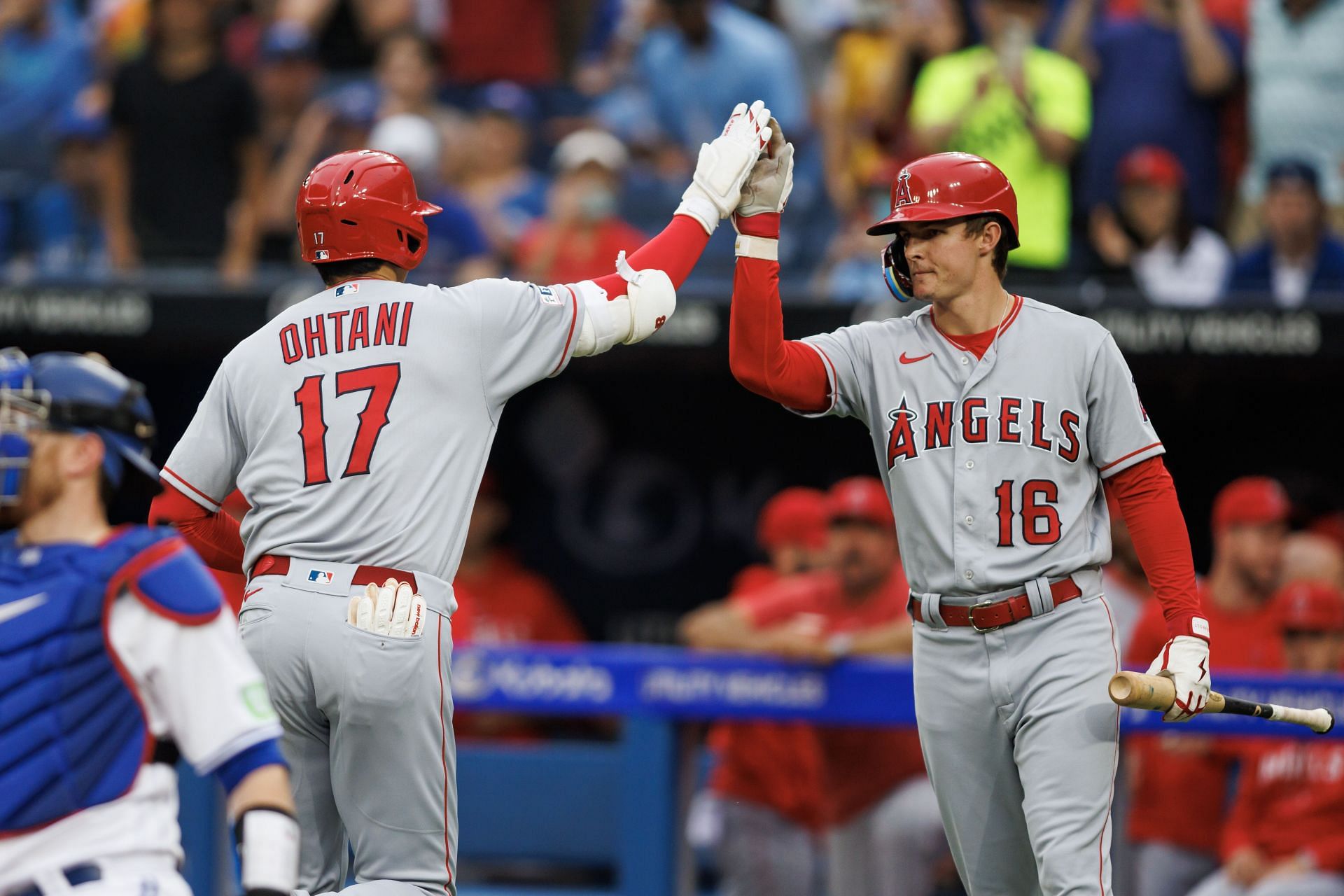 Los Angeles Angels v Toronto Blue Jays