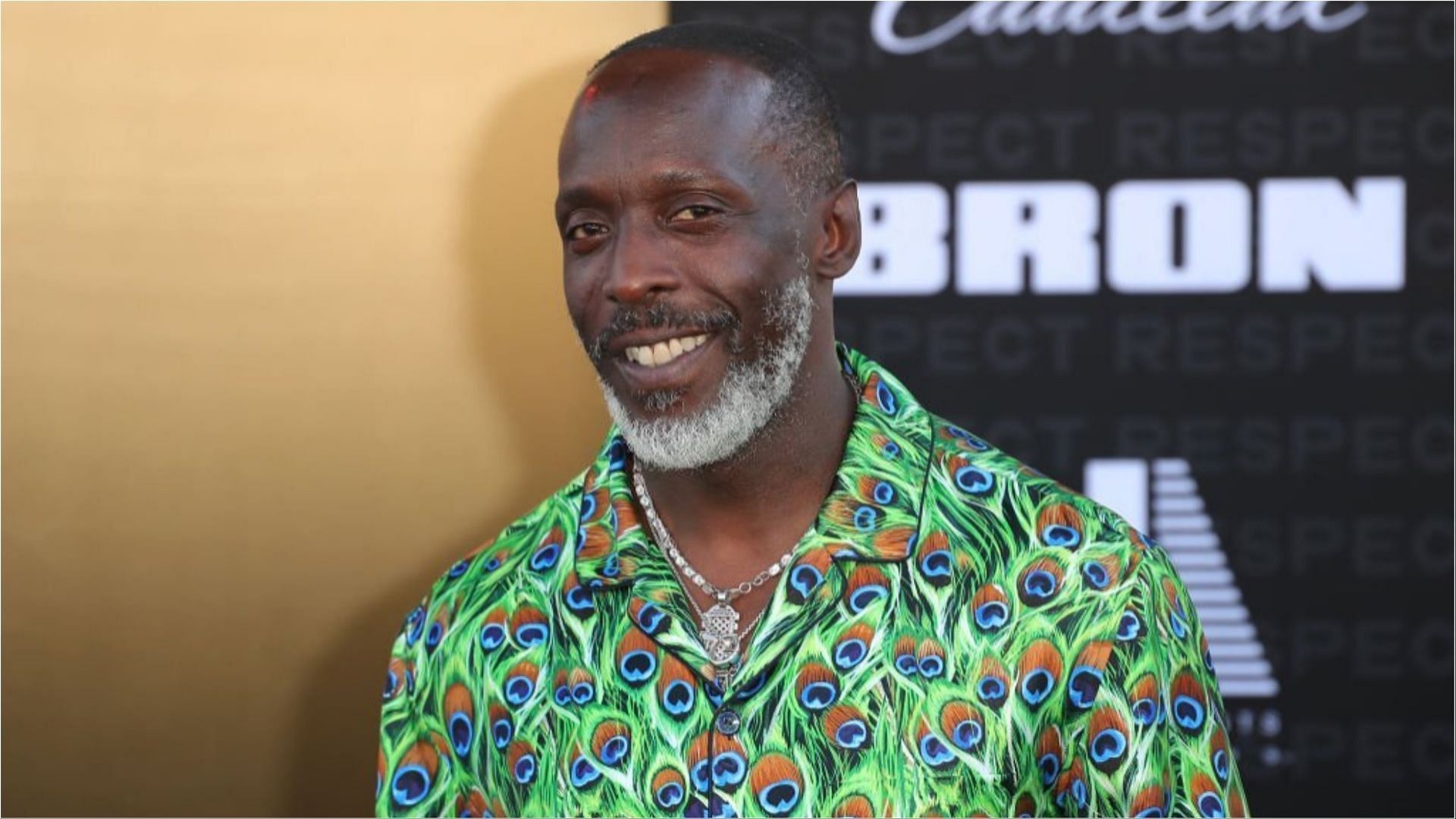 The man who served drugs to Michael K. Williams has been sentenced for 30 months (Image via Leon Bennett/Getty Images)