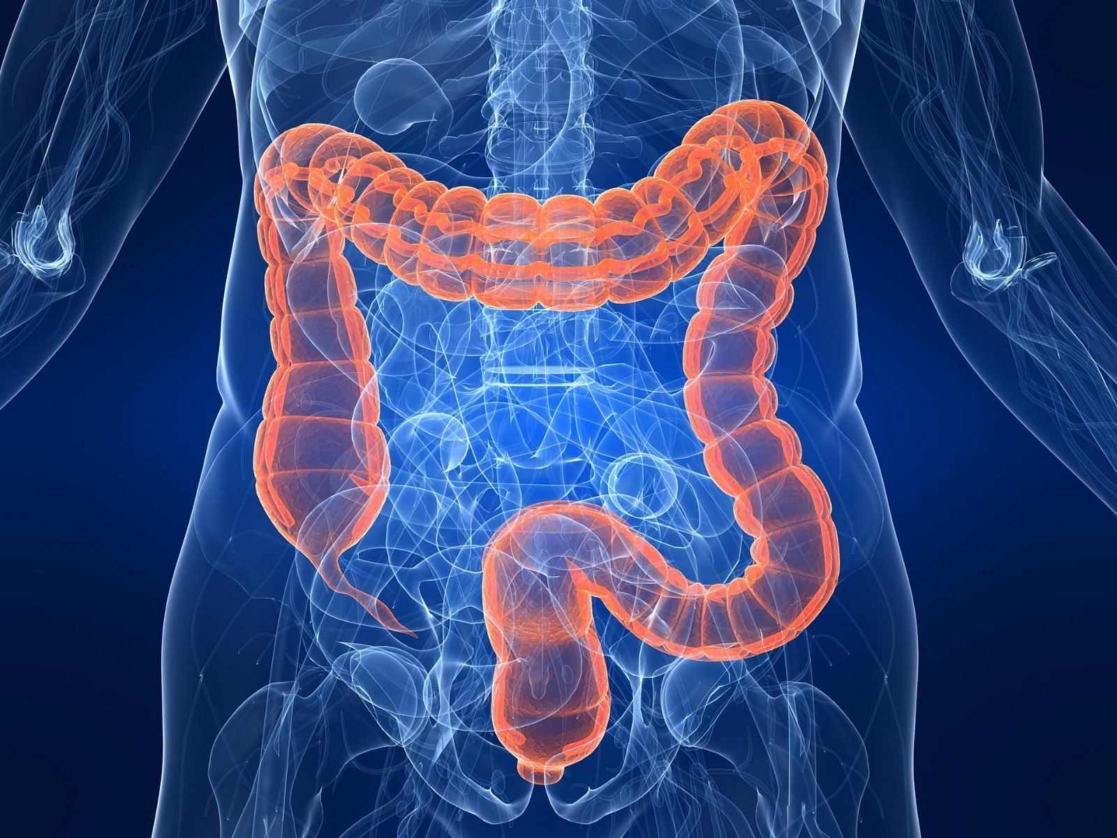 Digestive cleansing diet (Image via Getty Images)