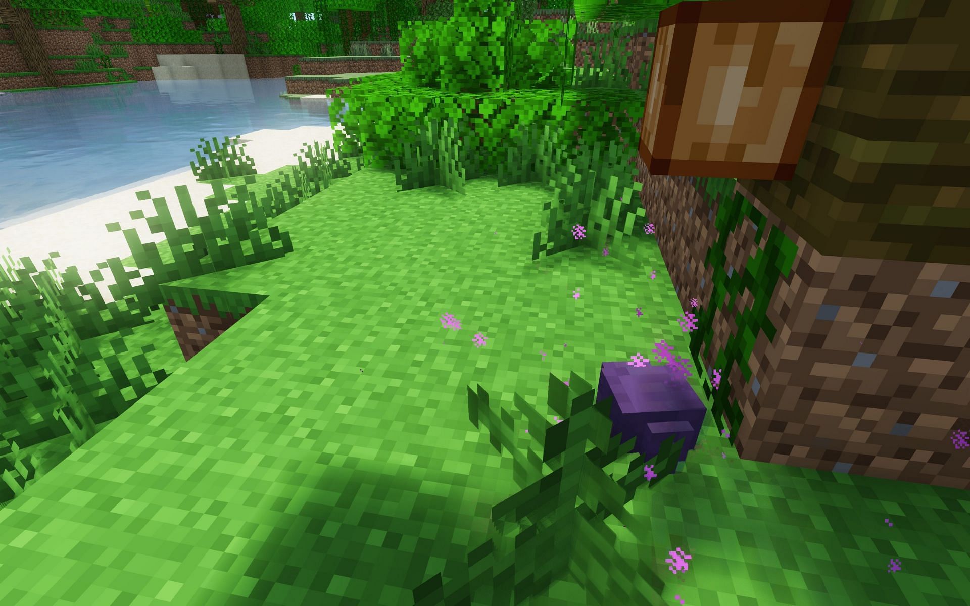 Endermites (Image via Mojang)