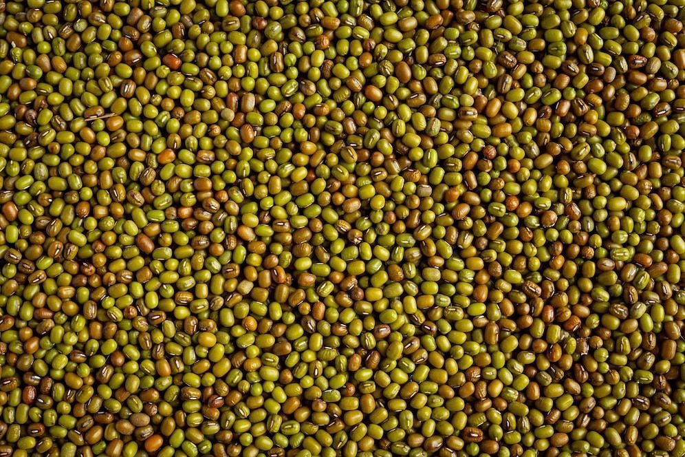 Mung beans (Image via Freepik/Jcomp)