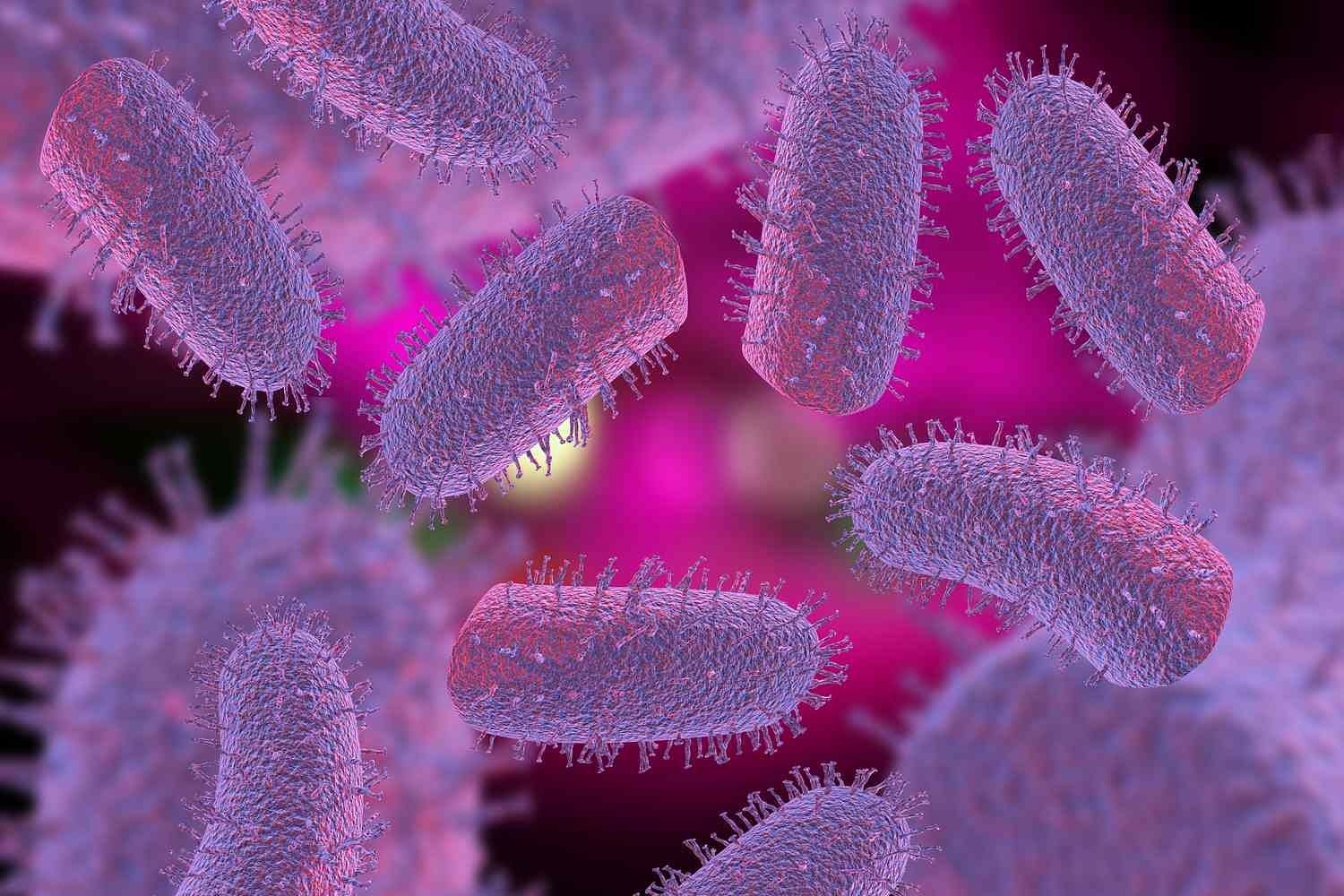 The virus (Image via Getty Images)