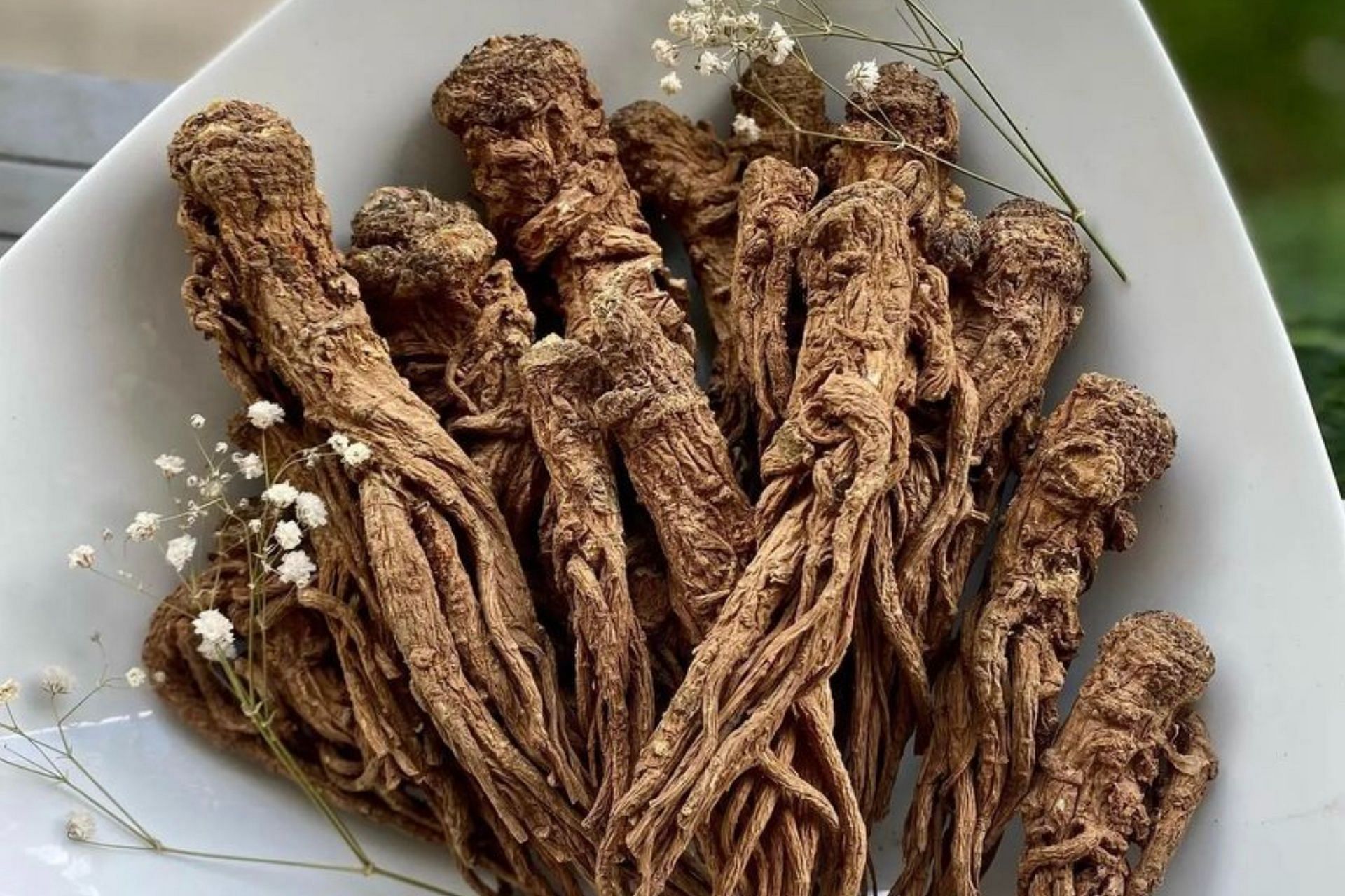 The Chinese herb, dong quai, is called the female ginseng. (Photo via Instagram/reprovive)