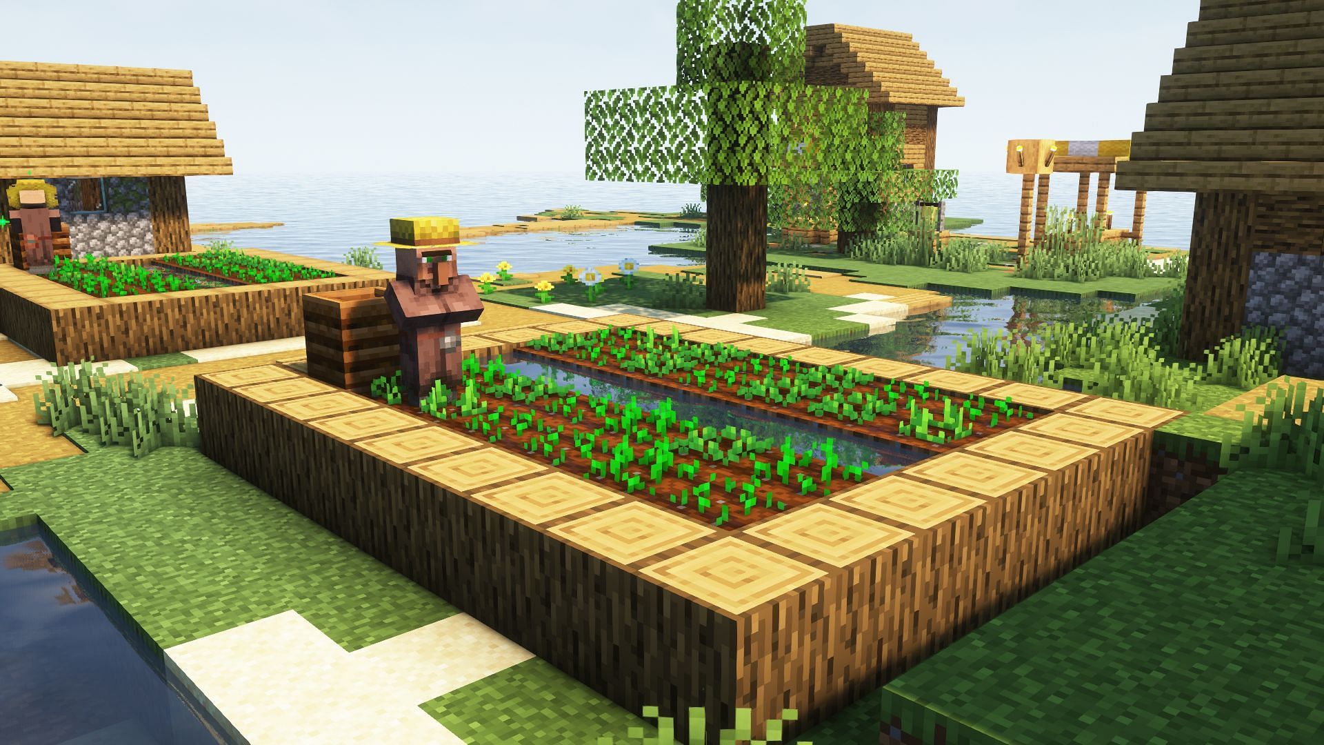 A wheat farm in a village (Image via Mojang)