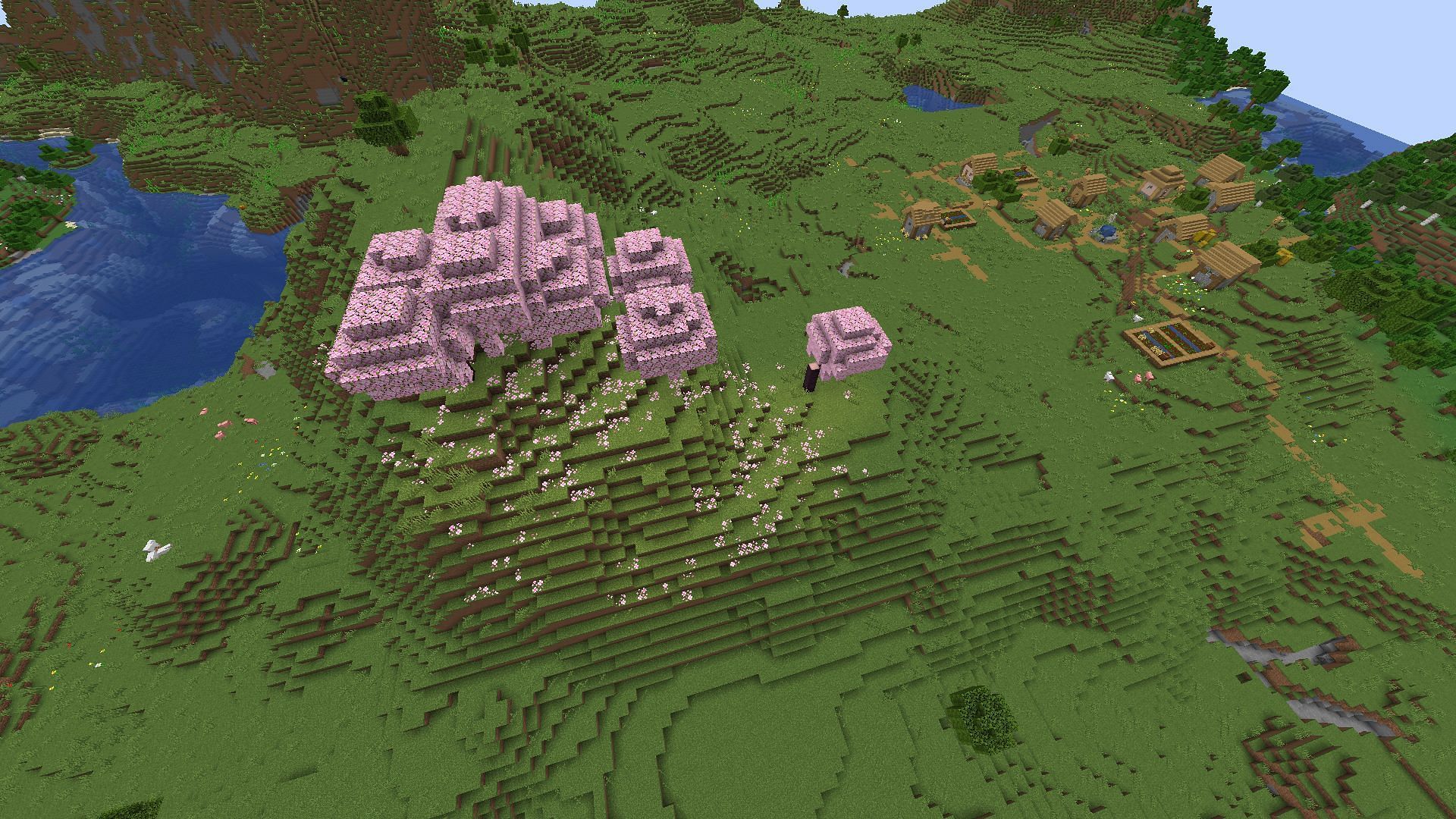 Tiniest Cherry Grove biome, consisting of only a few trees in Minecraft 1.20.1 (Image via Mojang)