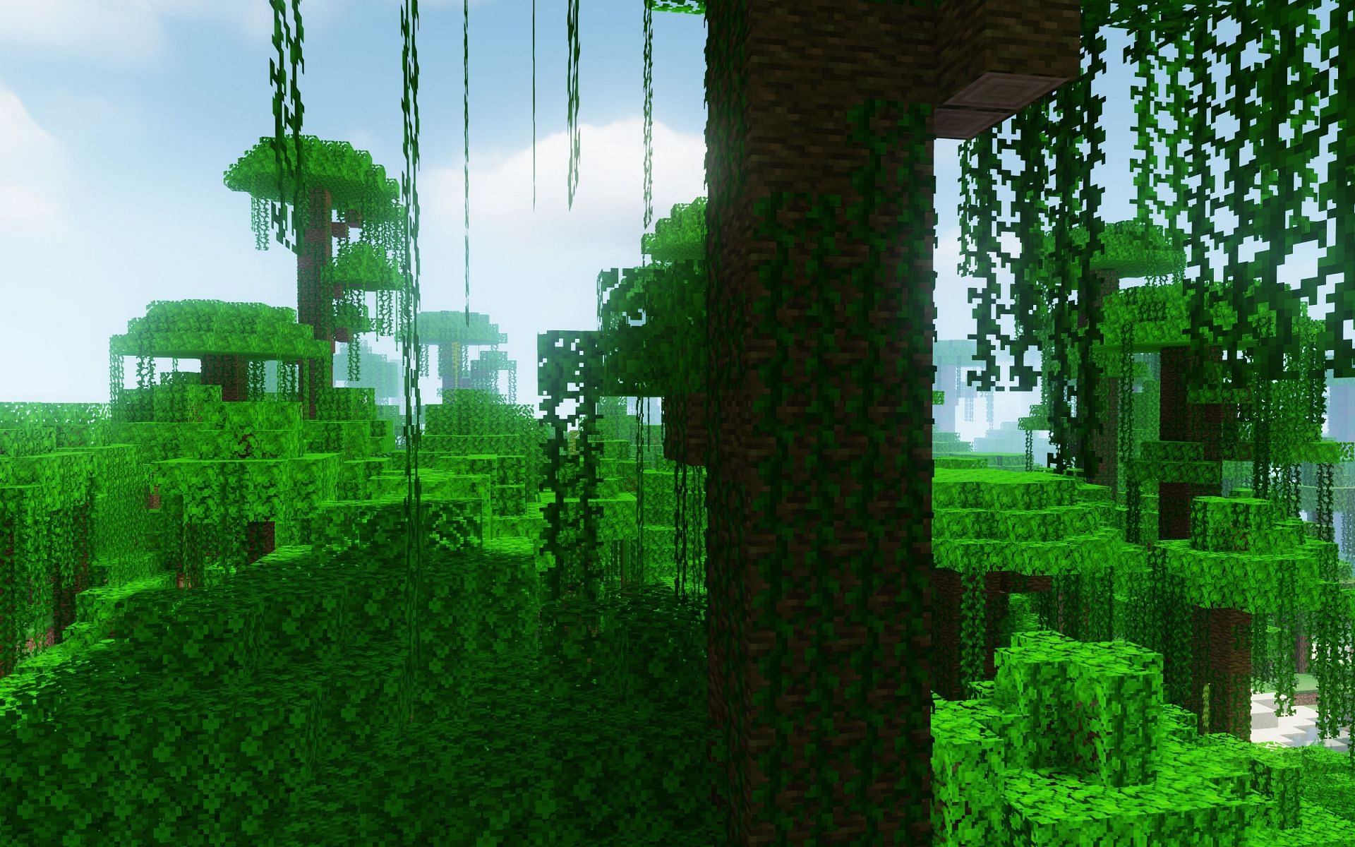 Jungle trees (Image via Mojang)