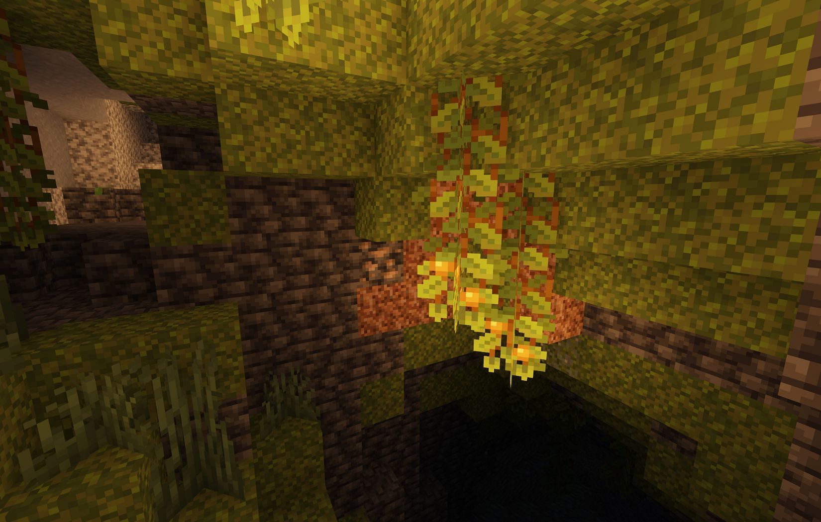 Glow berries are naturally found in lush caves (Image via Mojang)