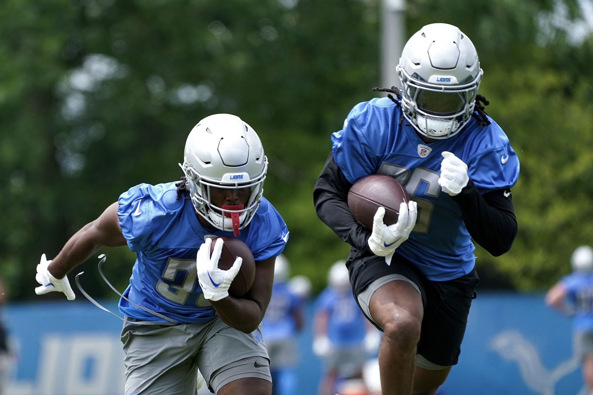 What can we expect from the Lions?