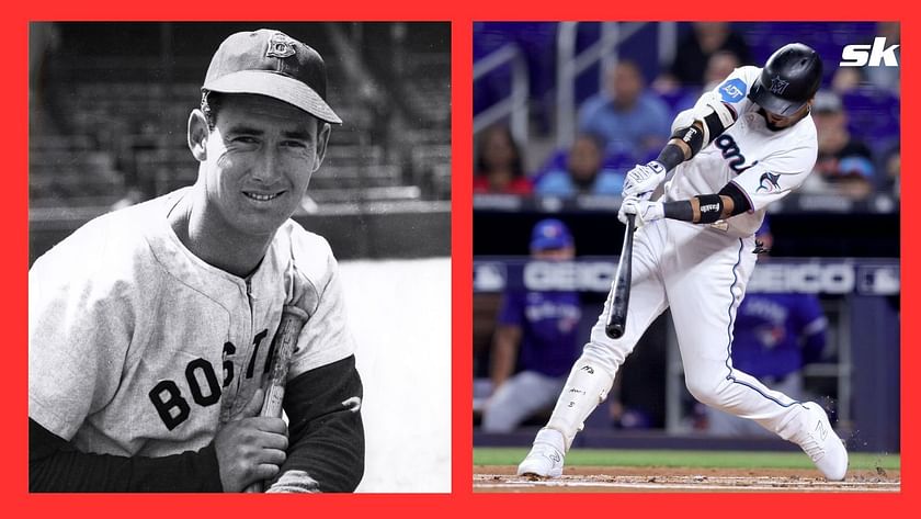 The greatest hitters in baseball history