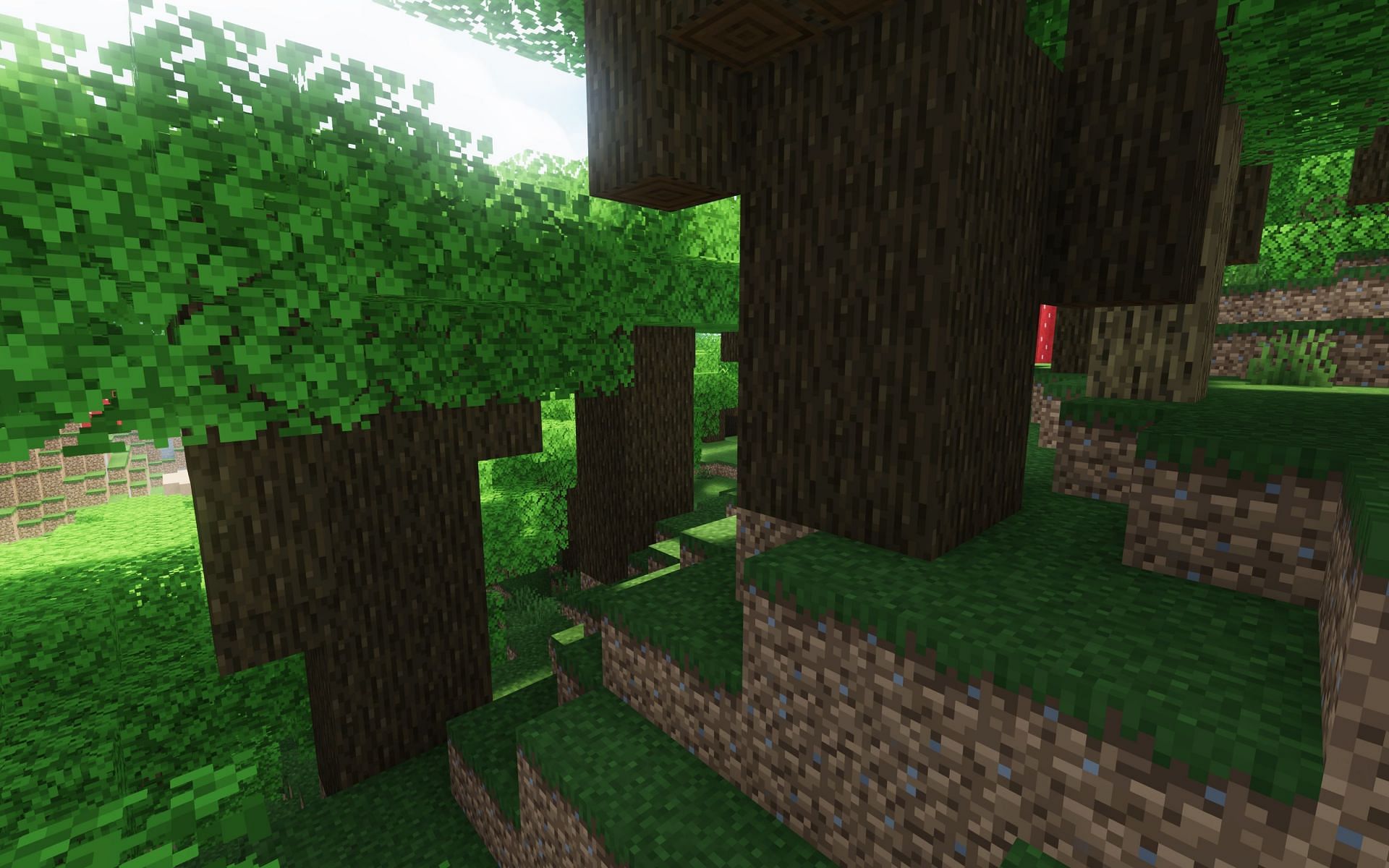 Dark oak trees (Image via Mojang)