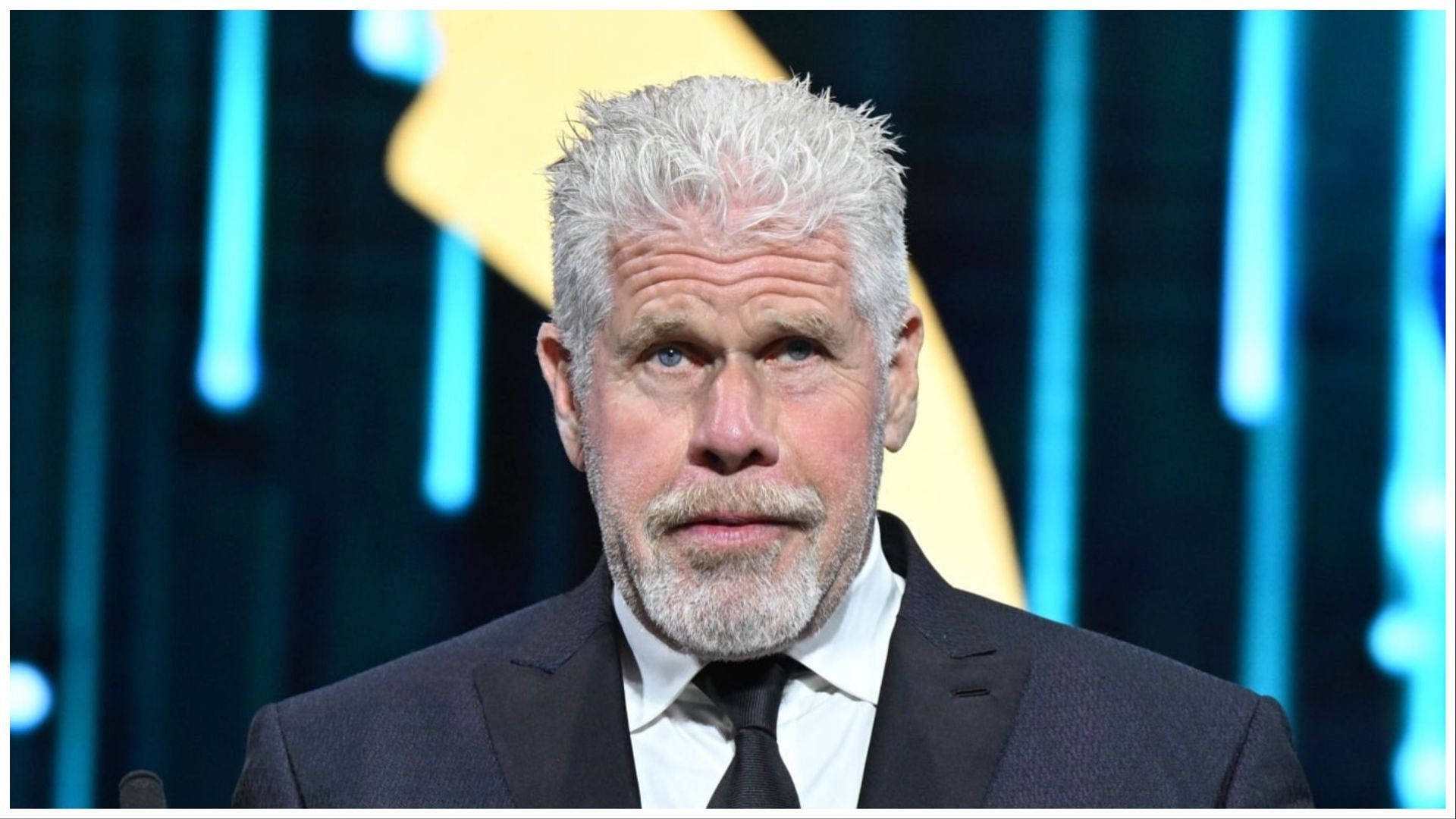 Perlman at the 61st Monte Carlo TV Festival (Image via Getty Images)