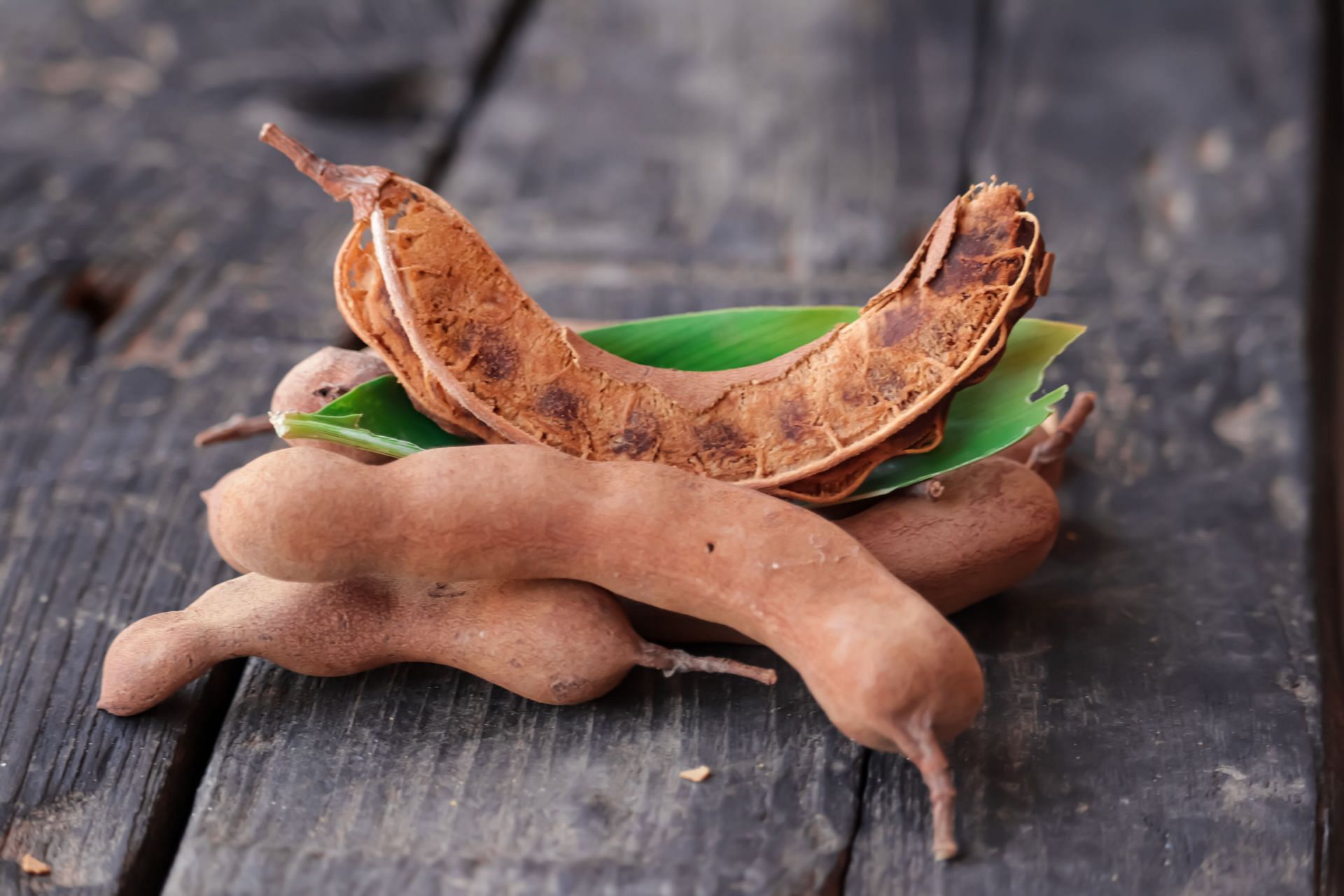 Recent study has shed light on the extraordinary health advantages of Tamarind seeds. (Image Credit: Dinesh Ahir/iStock/GettyImages)