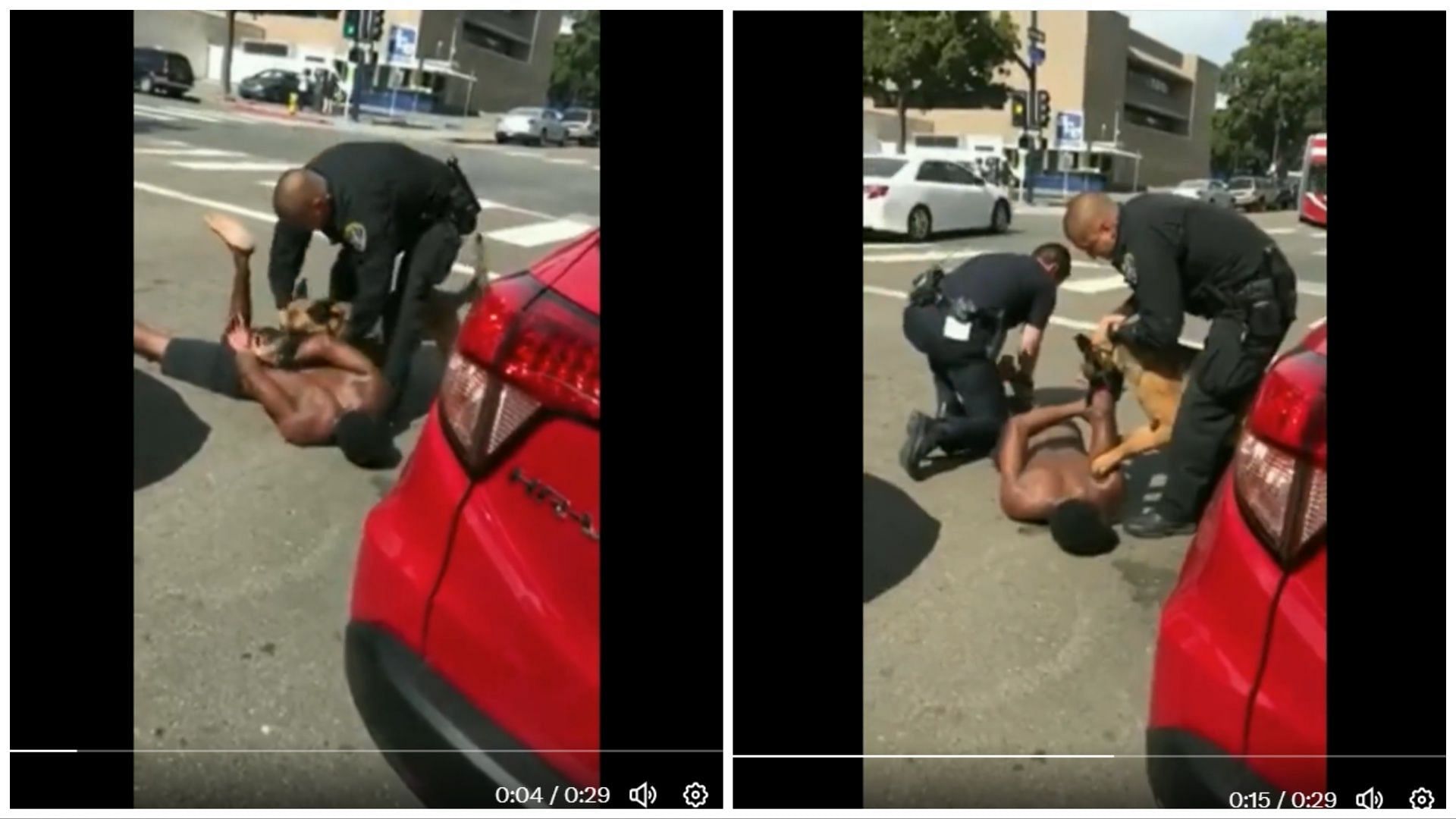 Twitter video shows Police dog biting a handcuffed man. (Image via Twitter)