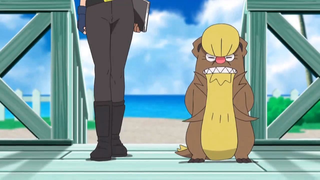 Gumshoos as seen in the anime (Image via The Pokemon Company)