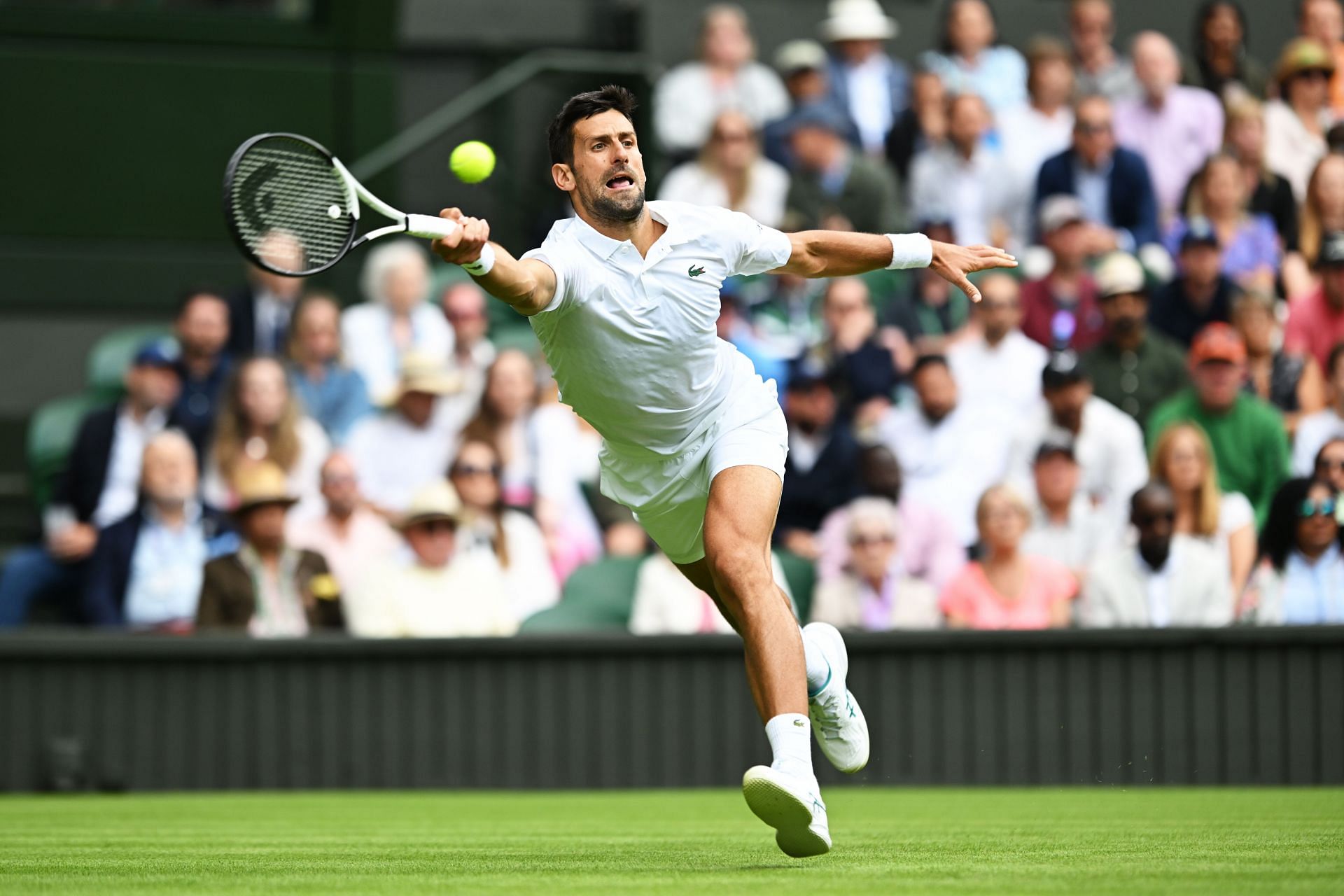 Novak Djokovic at the Wimbledon 2023.