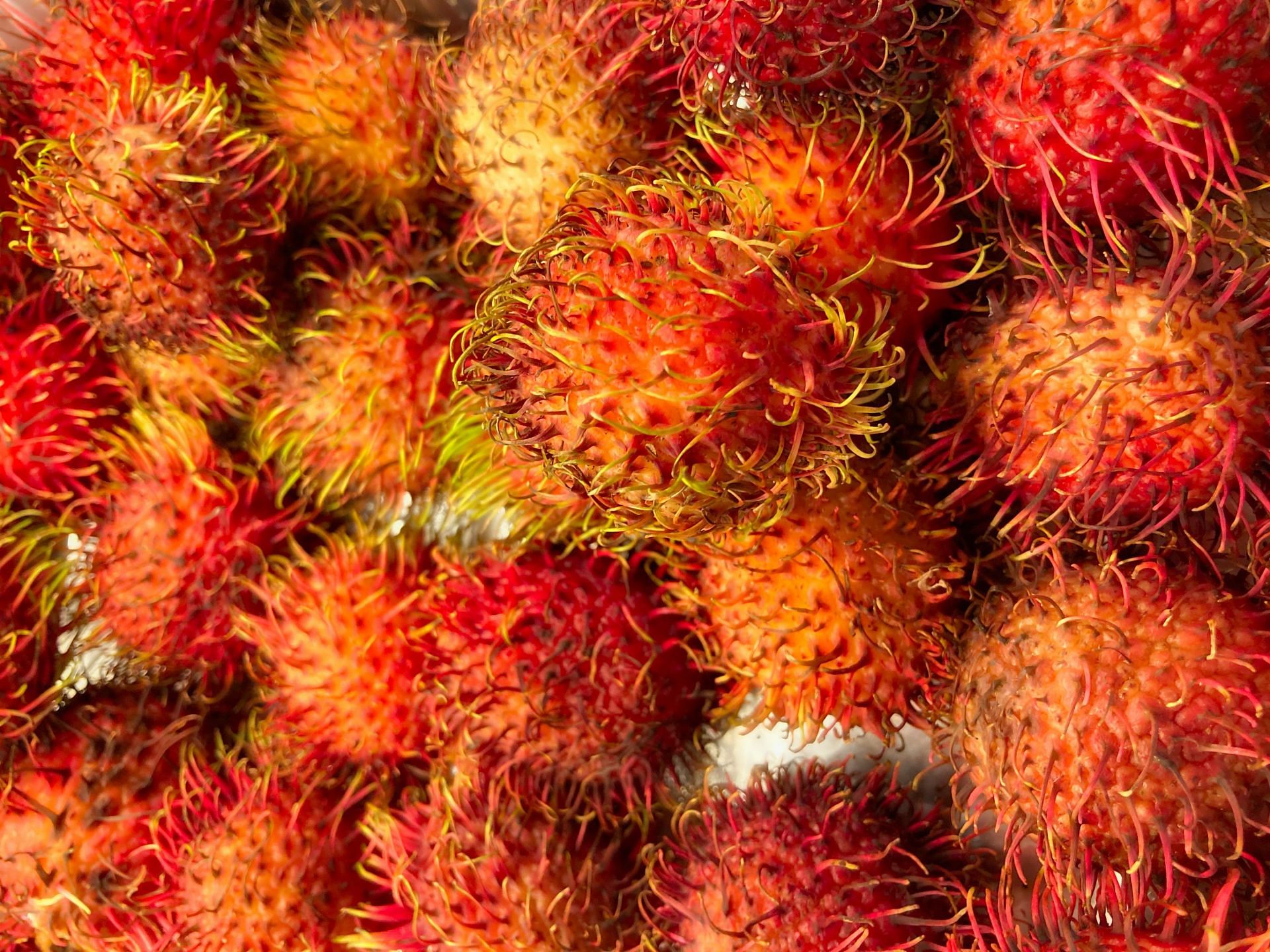 Rambutan is good for hair. (Image via Unsplash/ Acton Crawford)