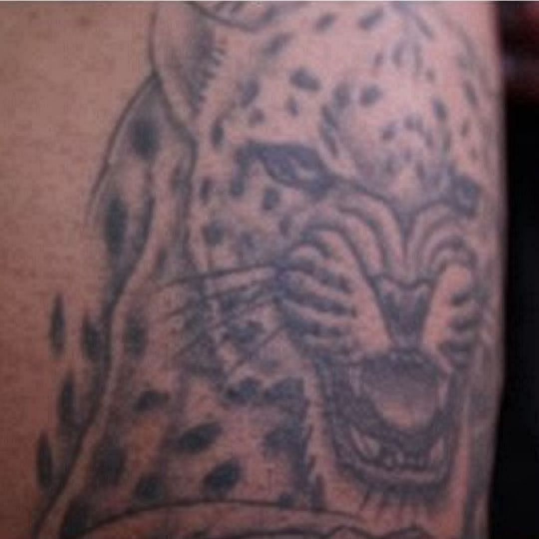 Alex Pereira&#039;s Brazilian Jaguar Tattoo