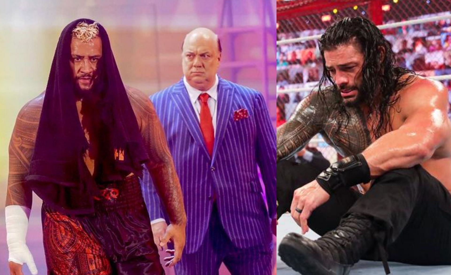 WWE दिग्गज पॉल हेमन को सोलो सिकोआ का मैनेजर बनना चाहिए 