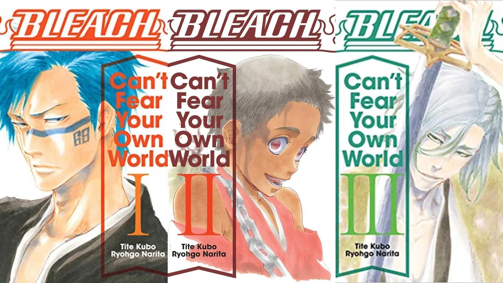 BLEACH Can&rsquo;t Fear Your Own World light novels (Image via Shueisha)