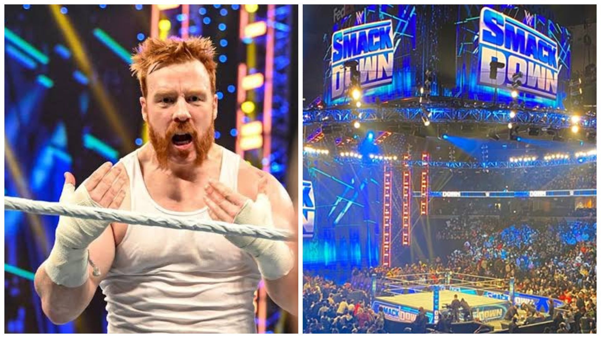 Sheamus is a former WWE Champion.