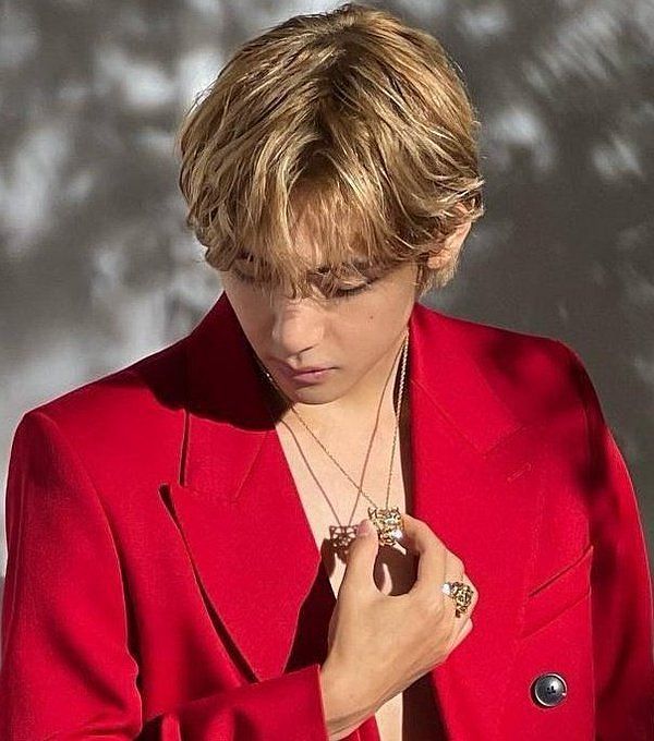 SOLD OUT KING”: BTS' V sells out Cartier's Panther Necklace following his  announcement as their new brand ambassador