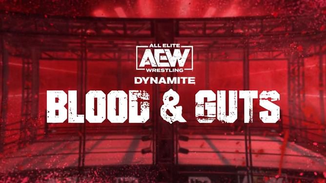 Top AEW star wants to have women's Blood and Guts match before retiring
