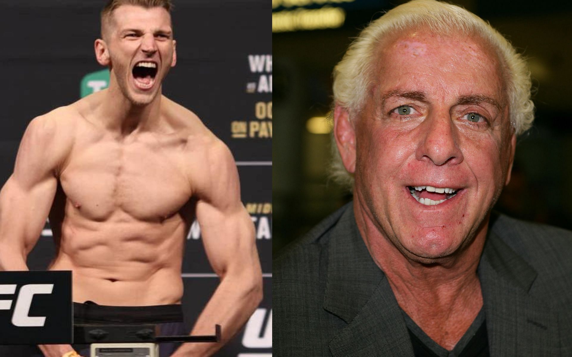 Ric Flair, Dan Hooker (Image Courtesy - IMDB, MMA Fighting)